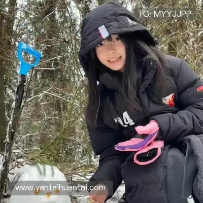 成歌舟